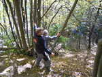 strecke 012