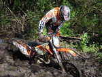 Tapolca 2013